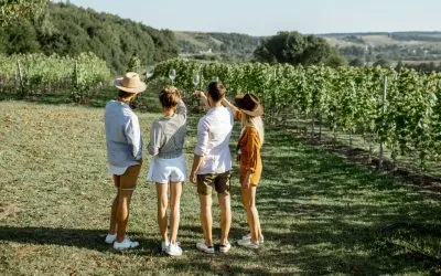Mejor epoca para ir a Valle de Guadalupe en Baja California, México