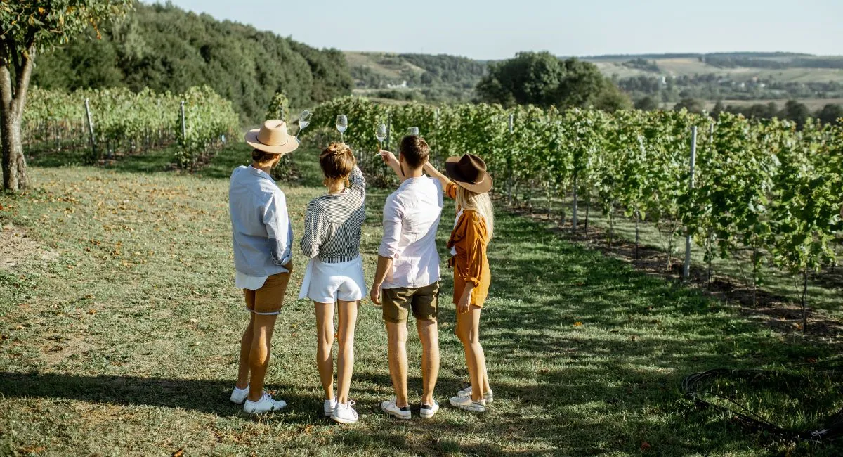 best time to visit valle de guadalupe