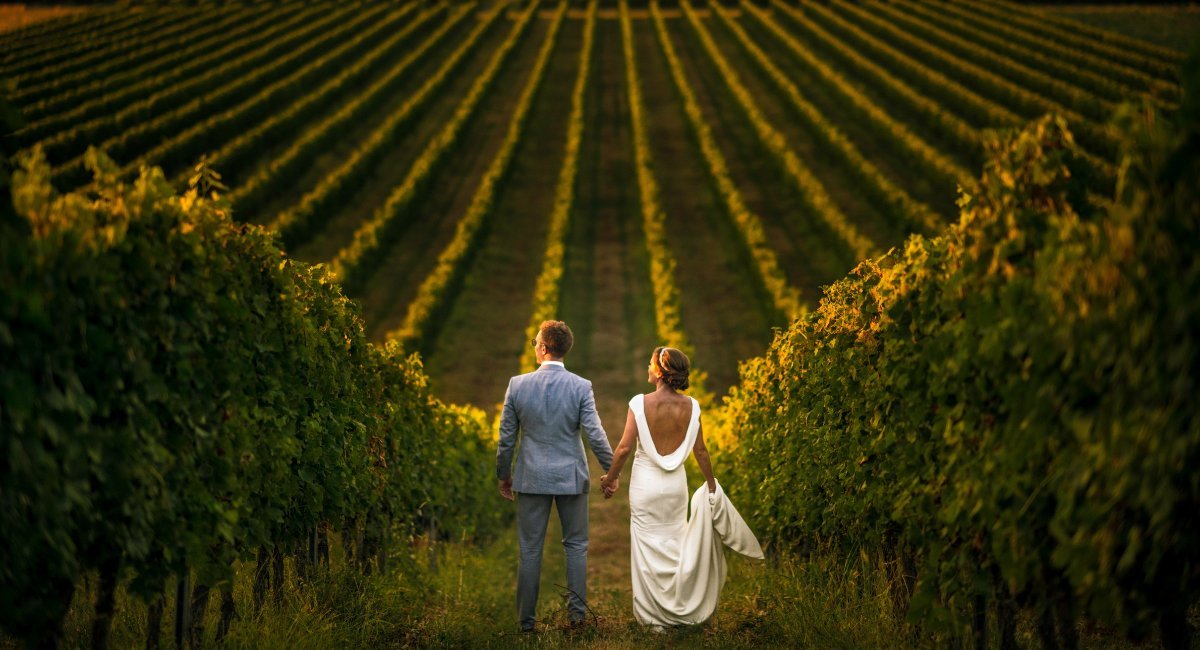 wedding venue in Valle de Guadalupe