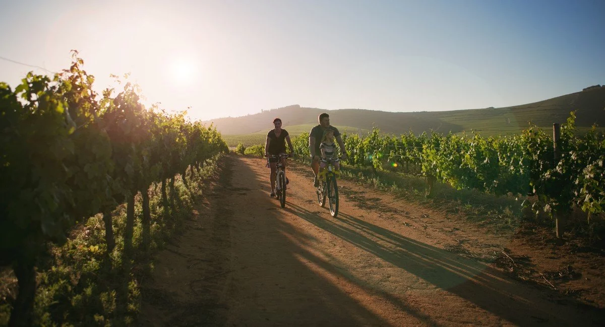qué hacer en valle de guadalupe