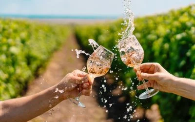 Los mejores viñedos en Valle de Guadalupe 2025