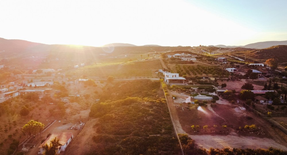 valle de guadalupe baja california