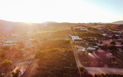 Descubre el Valle de Guadalupe Baja California, México