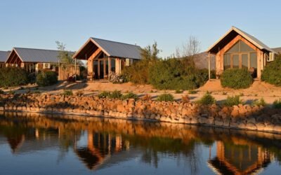 Cabins in Valle de Guadalupe: Among vineyards and wood