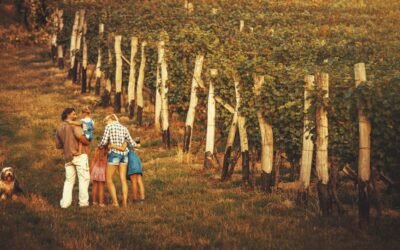 Valle de Guadalupe is for Everyone: Is the Valley expensive?