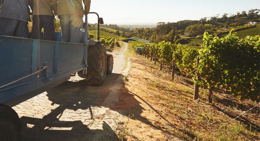 costos de operar en valle de guadalupe