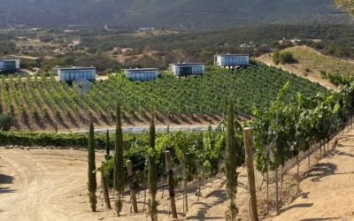 Boutique hotels in Valle de Guadalupe you should know